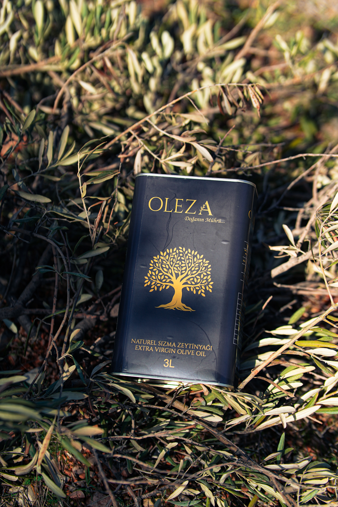 Oleza Natürel Sızma Zeytinyağı 3 Litre