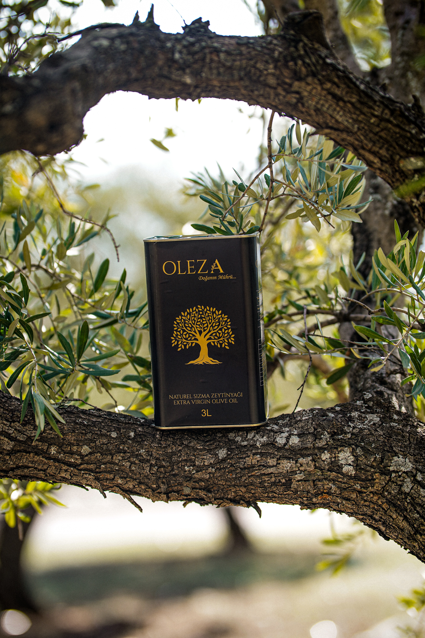 Oleza Natürel Sızma Zeytinyağı 3 Litre